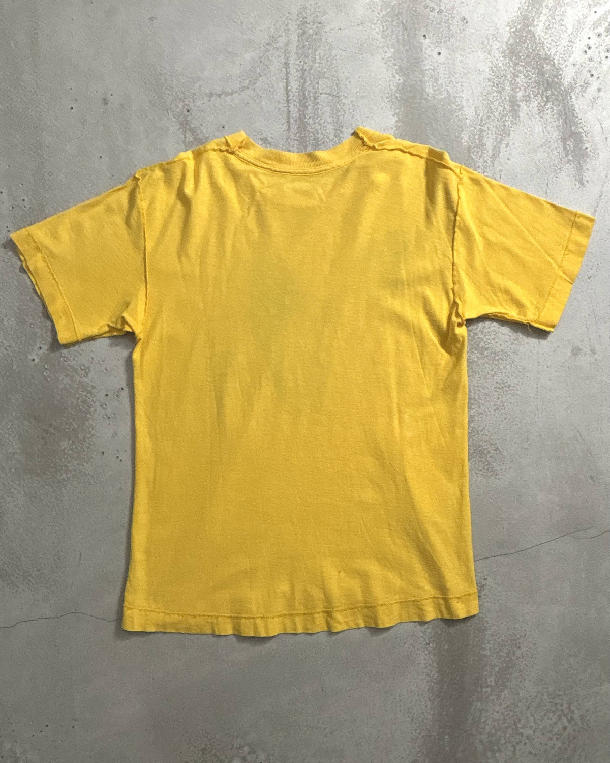 80's Buzzcocks "Orgasm Addict" バンドTシャツ バズコックス