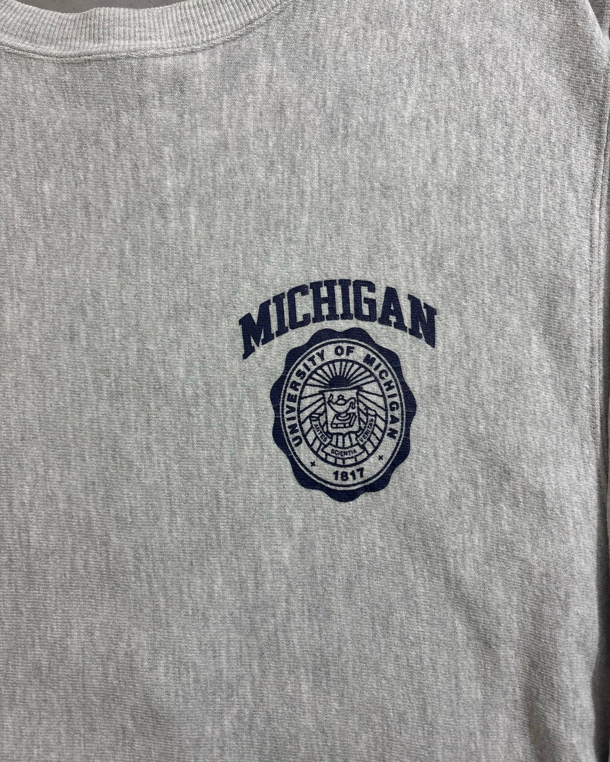 90's Champion "REVERSE WEAVE" MICHIGAN スウェット 両面プリント ラバー 表記XL USA製 リバースウィーブ チャンピオン