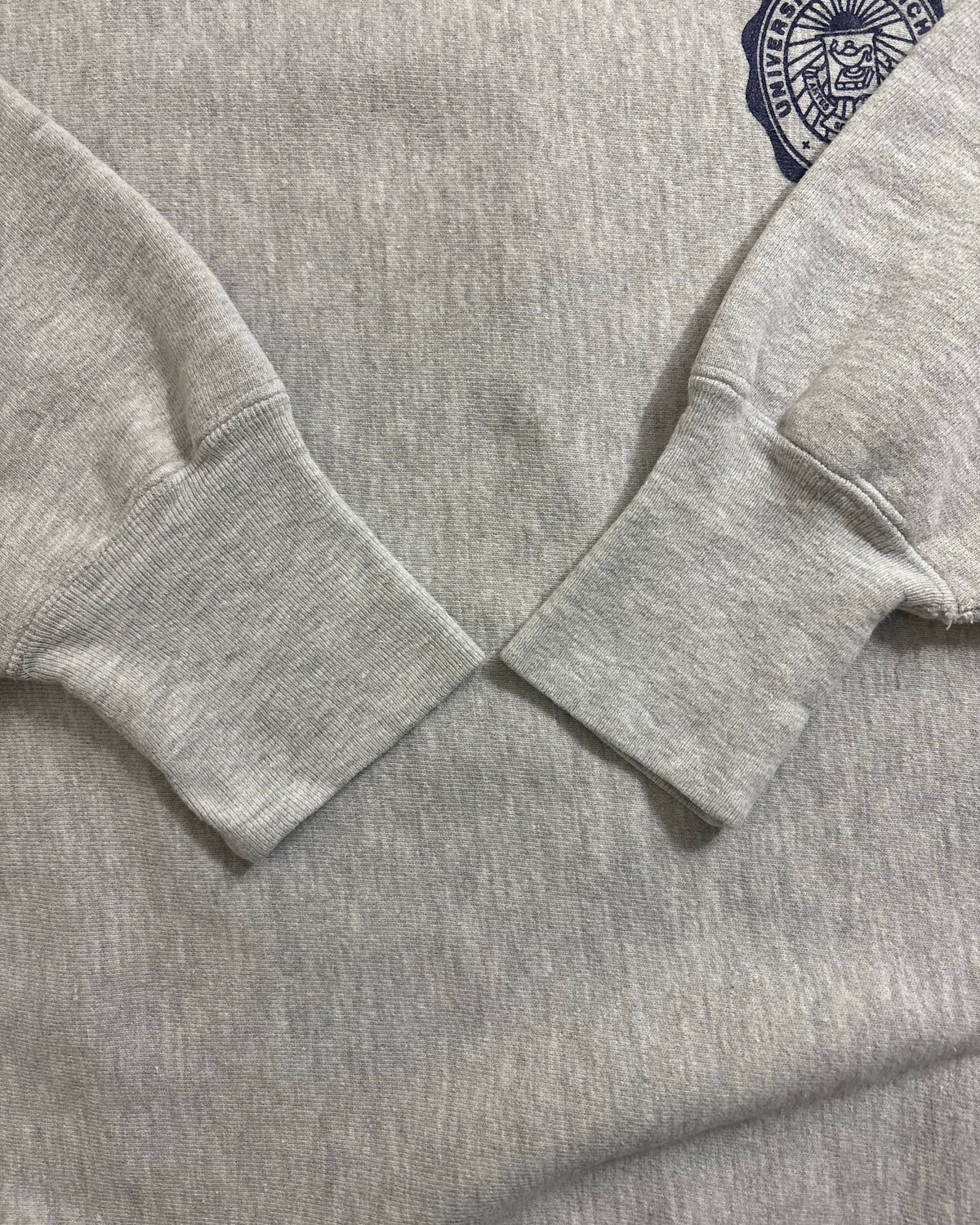 90's Champion "REVERSE WEAVE" MICHIGAN スウェット 両面プリント ラバー 表記XL USA製 リバースウィーブ チャンピオン