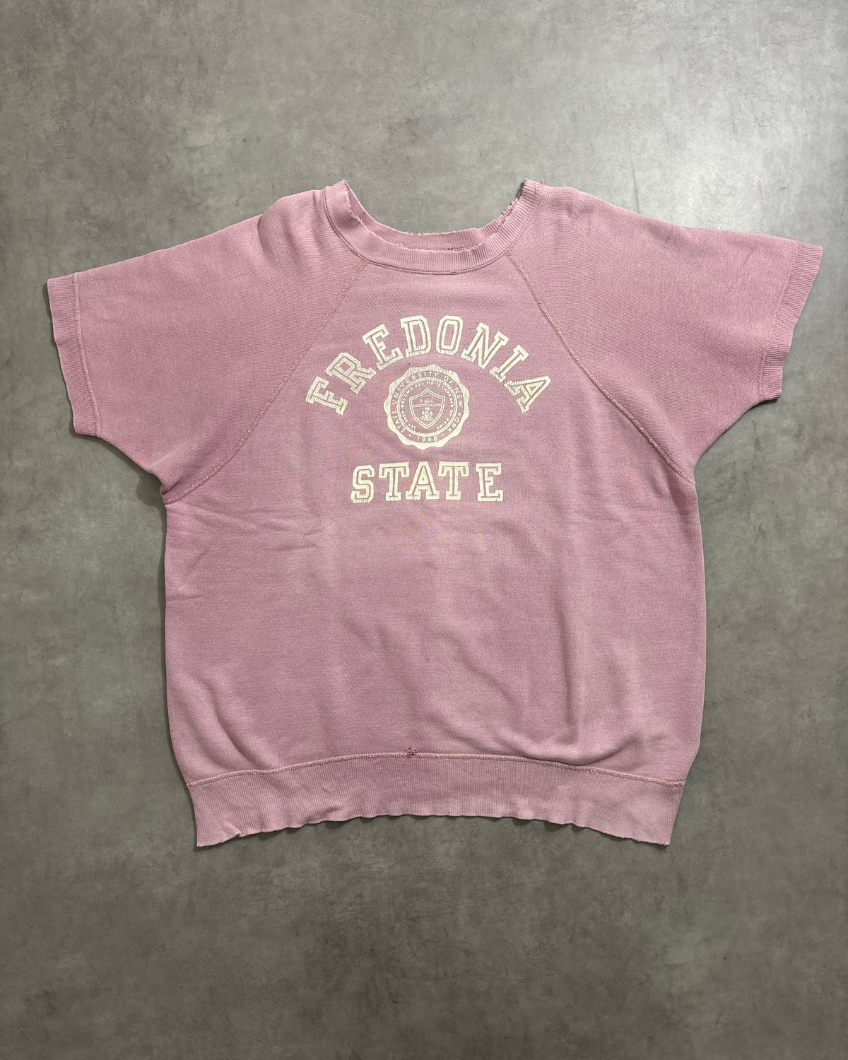 60's Vintage "FREDONIA STATE" 半袖スウェット 三段ラバープリント アーチ ラグラン ヴィンスエ