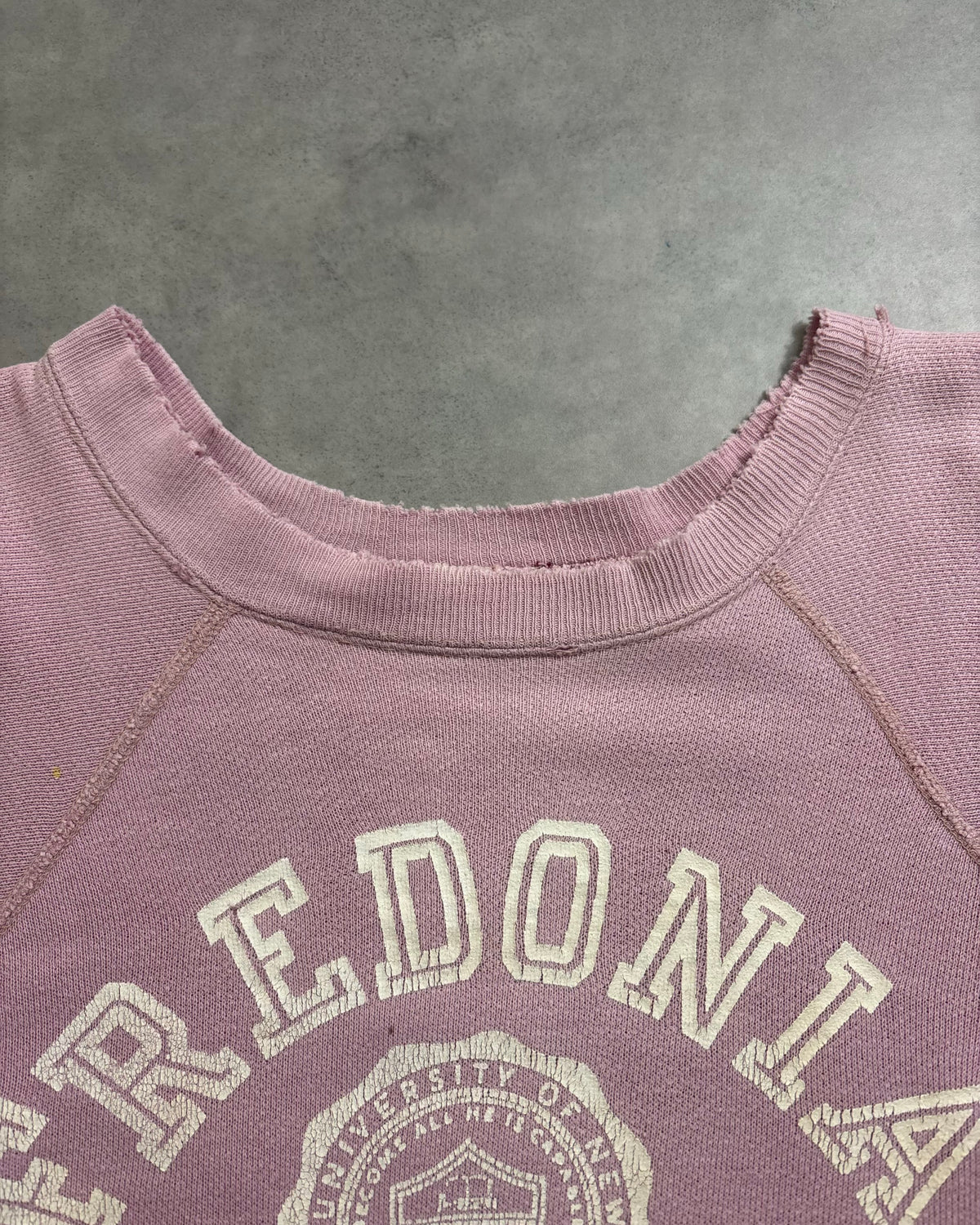 60's Vintage "FREDONIA STATE" 半袖スウェット 三段ラバープリント アーチ ラグラン ヴィンスエ