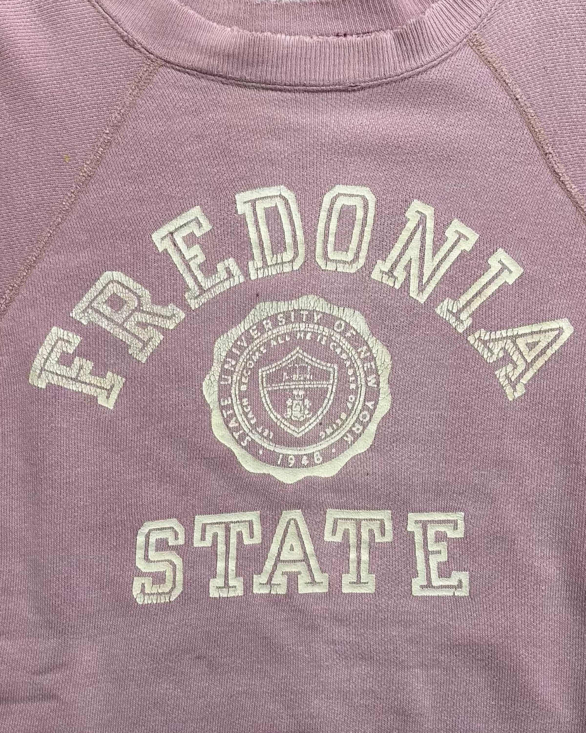 60's Vintage "FREDONIA STATE" 半袖スウェット 三段ラバープリント アーチ ラグラン ヴィンスエ