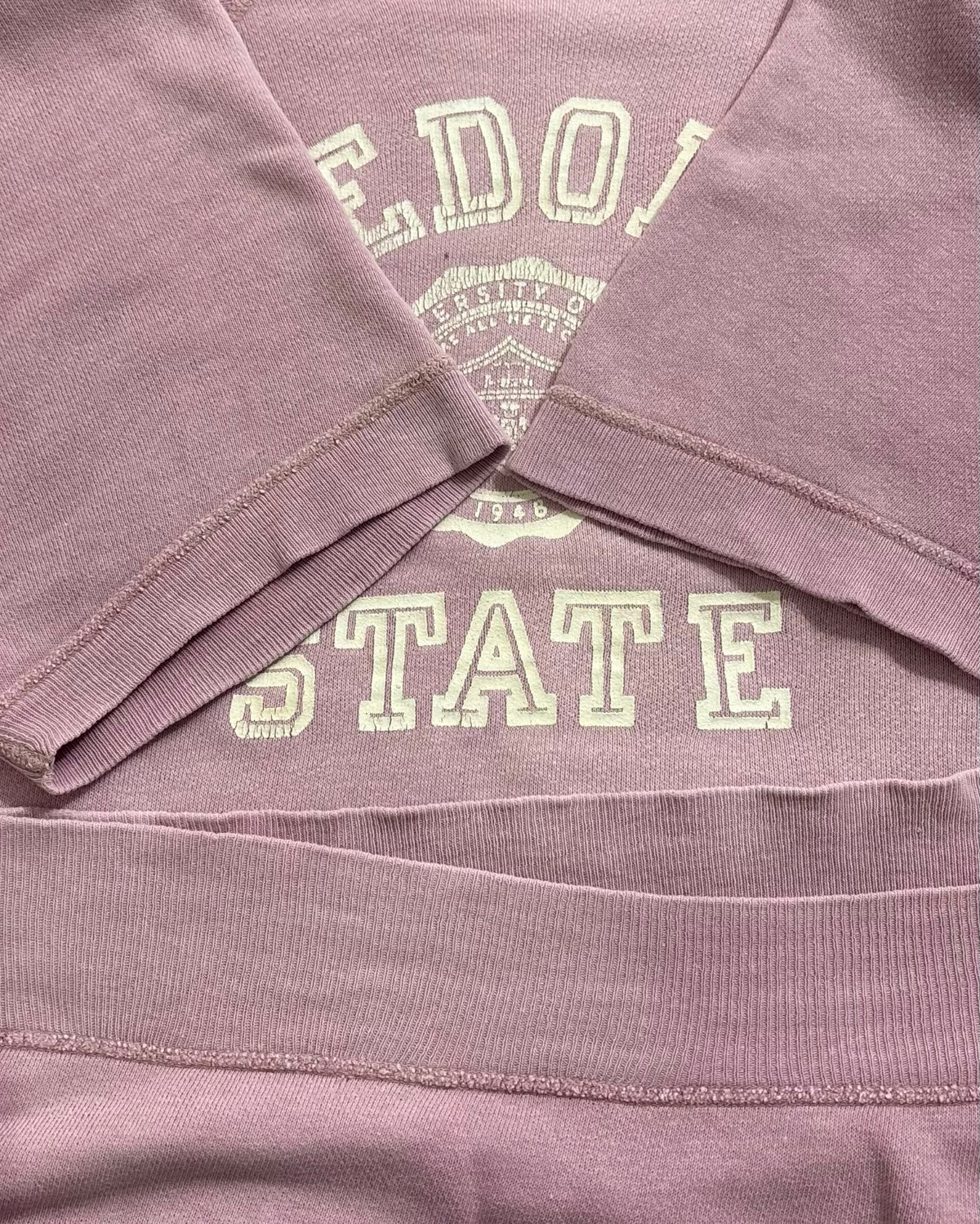 60's Vintage "FREDONIA STATE" 半袖スウェット 三段ラバープリント アーチ ラグラン ヴィンスエ